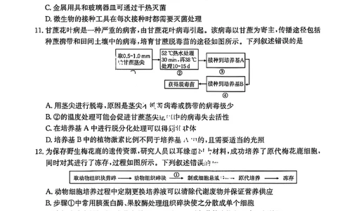 生物试题-湖北省十堰市2024-2025学年度高二下学期期末调研考试_2025年6月_250628湖北省十堰市2024-2025学年度高二下学期期末调研考试（全科）