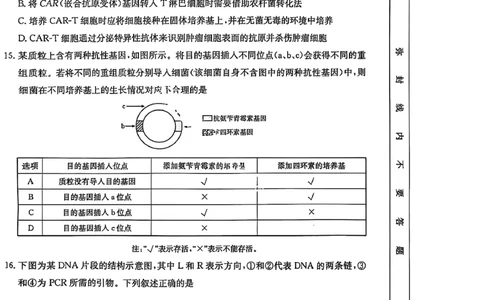 生物试题-湖北省十堰市2024-2025学年度高二下学期期末调研考试_2025年6月_250628湖北省十堰市2024-2025学年度高二下学期期末调研考试（全科）