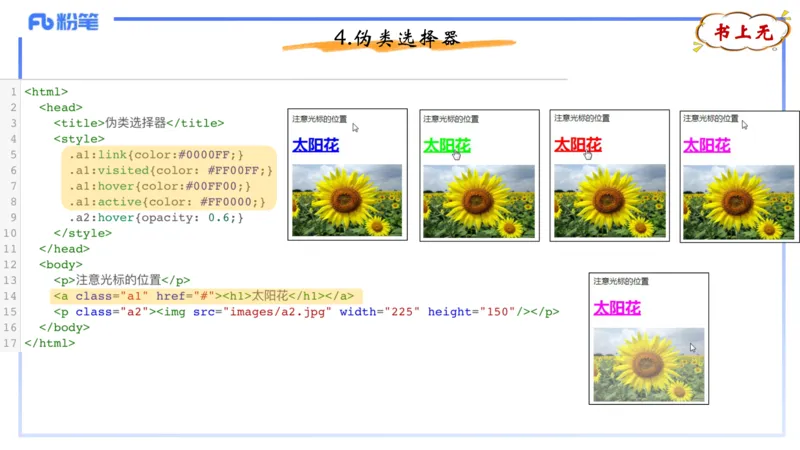 理论精讲12-计算机网络技术5&middot;孙珍珍_4-教培资料-26年最新资料-同步更新_初中高中教资_03科三专项（进去保存报考的学科即可）_初中_初中信息技术通关资料包_2025年FB学科-信息技术