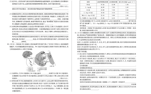 生物学专版B卷天一大联考&middot;陕西甘肃省2025-2026学年（上）高三年级顶尖计划（二）_2025年12月_251211河南省、陕西甘肃省2025-2026学年（上）高三年级顶尖计划（二）（全科）