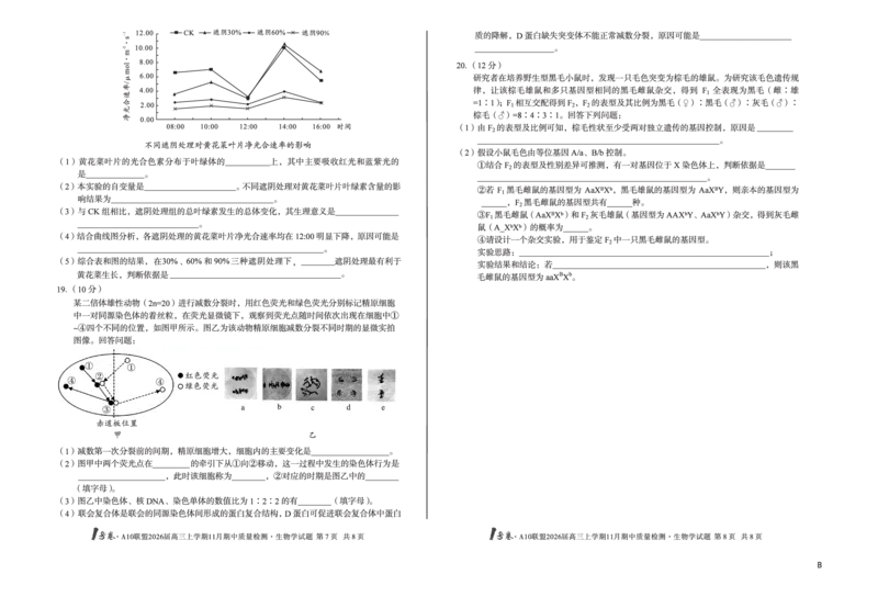 8K生物学（B卷）1号卷&middot;A10联盟2026届高三上学期11月期中质量检测生物学B_2025年11月_251115安徽省A10联盟2026届高三上学期11月期中质量检测（全科）