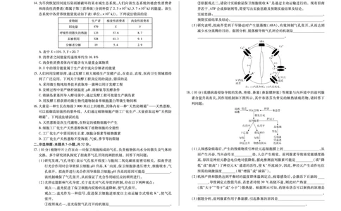 生物学高二下摸底考试A3_2025年6月_250621河南省天一大联考2024-2025学年高二下学期6月摸底考试（全科）_生物-河南省天一大联考2024-2025学年高二下学期6月摸底考试