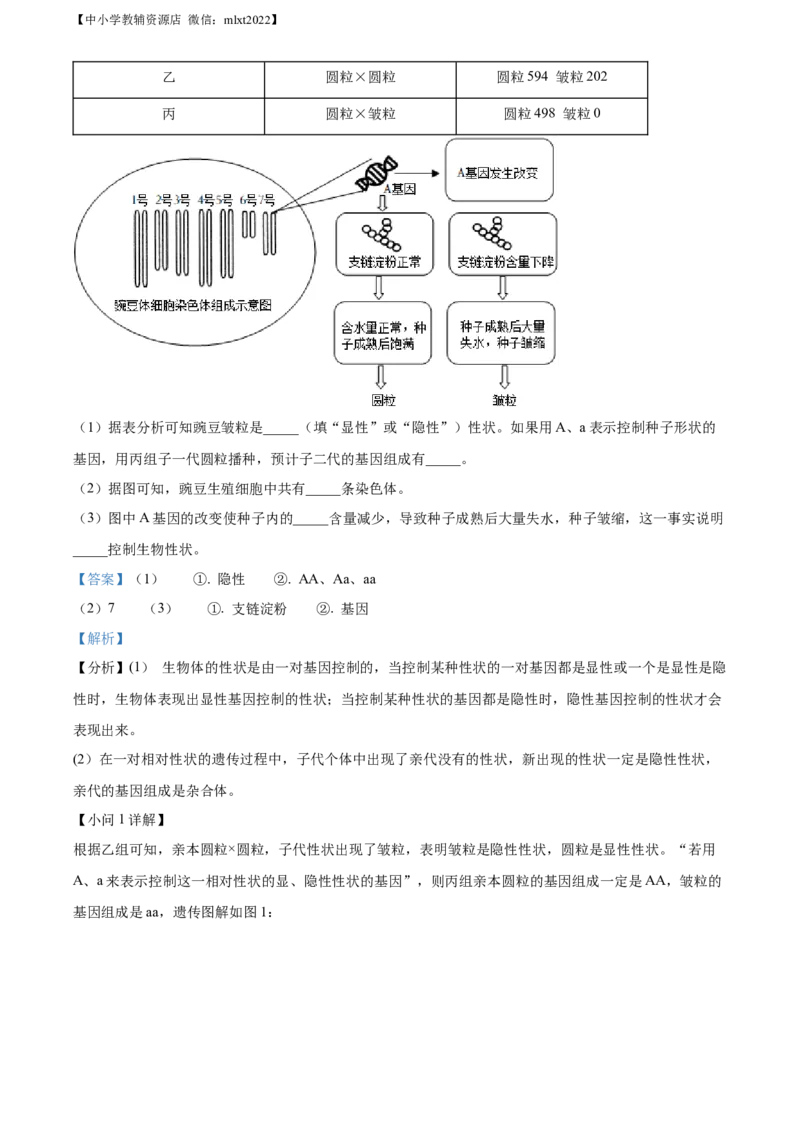 精品解析：2022年湖南省湘潭市中考生物试题（解析版）_中考真题_8.生物中考真题2015-2024年_2022年全国中考生物114份14