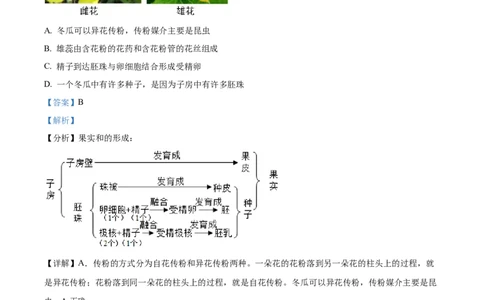 精品解析：2022年湖南省湘潭市中考生物试题（解析版）_中考真题_8.生物中考真题2015-2024年_2022年全国中考生物114份14
