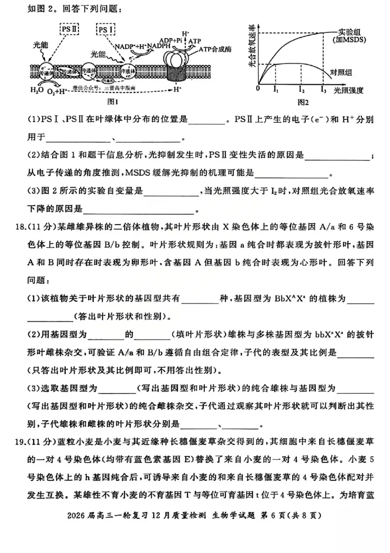 生物试题_2025年12月_2512252026届百师联盟高三一轮复习12月质量检测（全科）