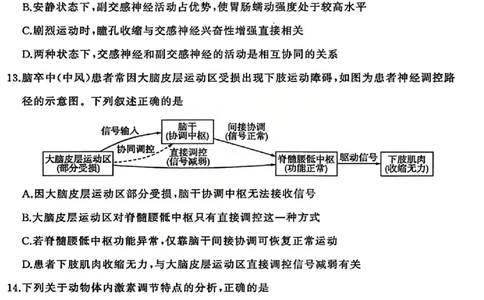 生物试题_2025年12月_2512252026届百师联盟高三一轮复习12月质量检测（全科）
