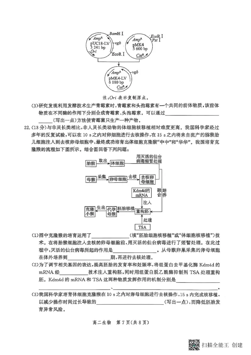 生物_2025年6月_250613河北省2025年高二年级第二学期期末模拟检测（全科）(1)_河北省2024-2025学年高二下学期期末模拟检测生物试题