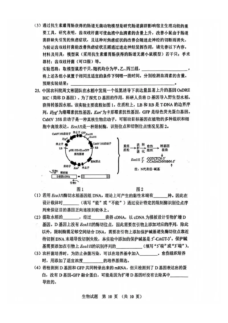 生物试题_2025年12月_251212山东省实验中学2025-2026学年高三上学期第三次诊断性考试_山东省实验中学2025-2026学年高三上学期第三次诊断性考试生物