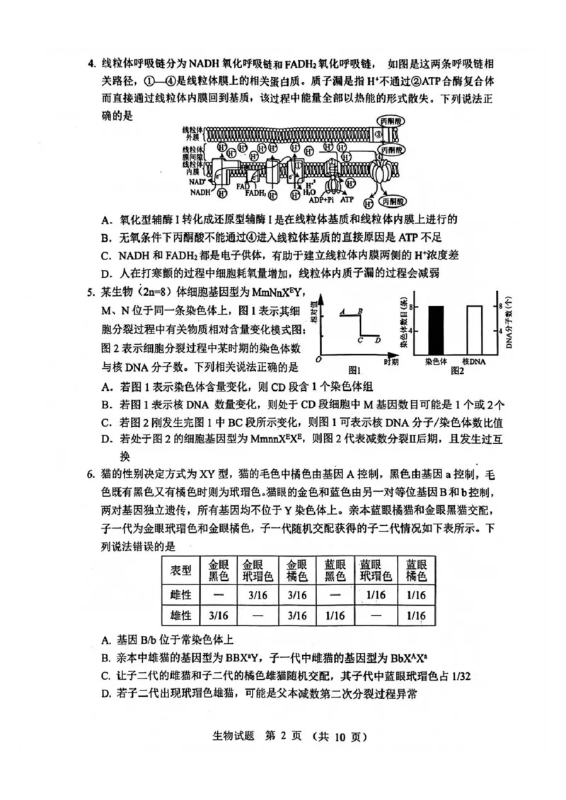 生物试题_2025年12月_251212山东省实验中学2025-2026学年高三上学期第三次诊断性考试_山东省实验中学2025-2026学年高三上学期第三次诊断性考试生物