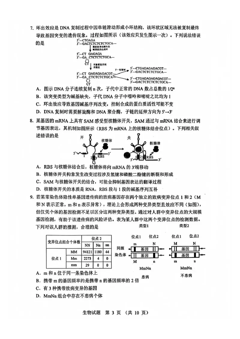 生物试题_2025年12月_251212山东省实验中学2025-2026学年高三上学期第三次诊断性考试_山东省实验中学2025-2026学年高三上学期第三次诊断性考试生物