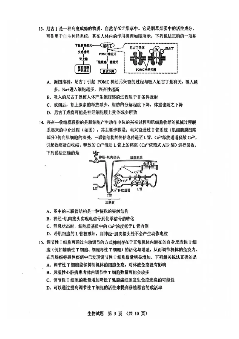 生物试题_2025年12月_251212山东省实验中学2025-2026学年高三上学期第三次诊断性考试_山东省实验中学2025-2026学年高三上学期第三次诊断性考试生物