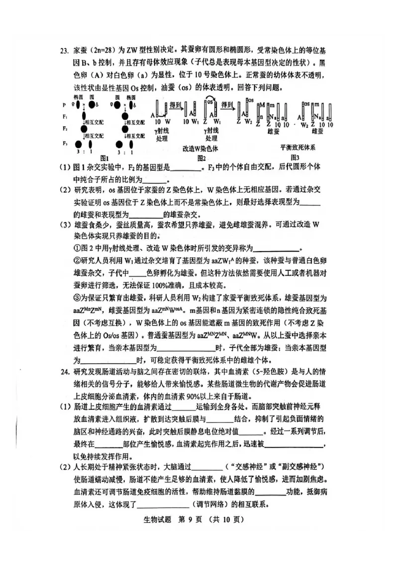 生物试题_2025年12月_251212山东省实验中学2025-2026学年高三上学期第三次诊断性考试_山东省实验中学2025-2026学年高三上学期第三次诊断性考试生物