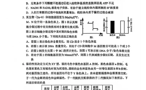 生物试题_2025年12月_251212山东省实验中学2025-2026学年高三上学期第三次诊断性考试_山东省实验中学2025-2026学年高三上学期第三次诊断性考试生物