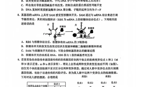 生物试题_2025年12月_251212山东省实验中学2025-2026学年高三上学期第三次诊断性考试_山东省实验中学2025-2026学年高三上学期第三次诊断性考试生物