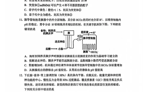 生物试题_2025年12月_251212山东省实验中学2025-2026学年高三上学期第三次诊断性考试_山东省实验中学2025-2026学年高三上学期第三次诊断性考试生物