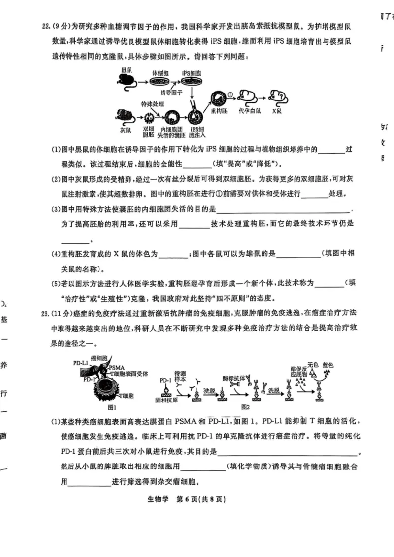 辽宁省名校联盟2025年高二联合考试-生物学+答案_2025年6月_250612辽宁省名校联盟2024-2025学年高二下学期6月份联合考试（全科）(1)