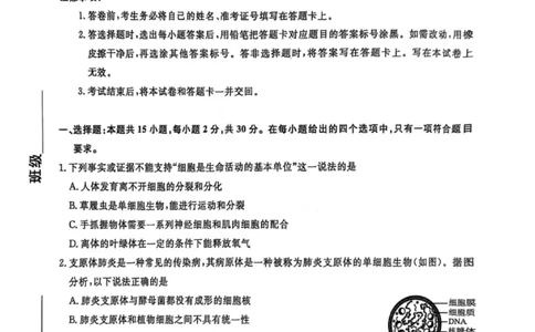 辽宁省名校联盟2025年高二联合考试-生物学+答案_2025年6月_250612辽宁省名校联盟2024-2025学年高二下学期6月份联合考试（全科）(1)