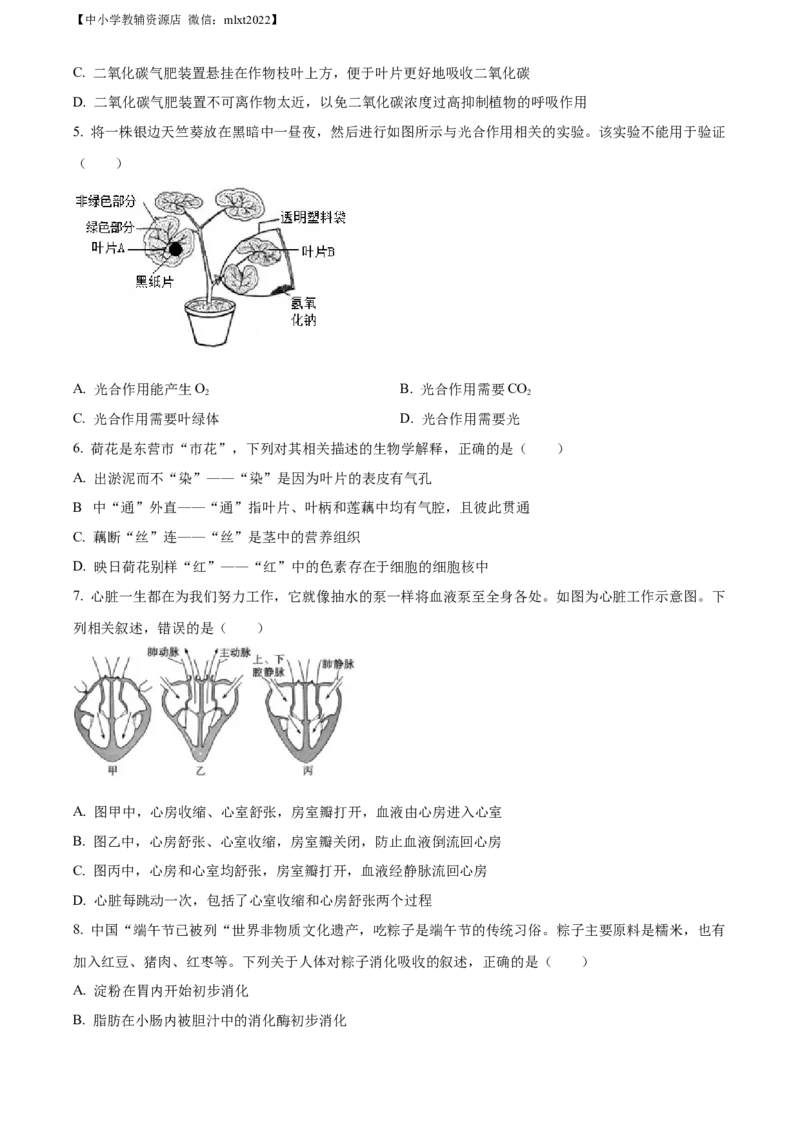 精品解析：2022年山东省东营市中考生物真题（原卷版）_中考真题_8.生物中考真题2015-2024年_2022年全国中考生物114份14