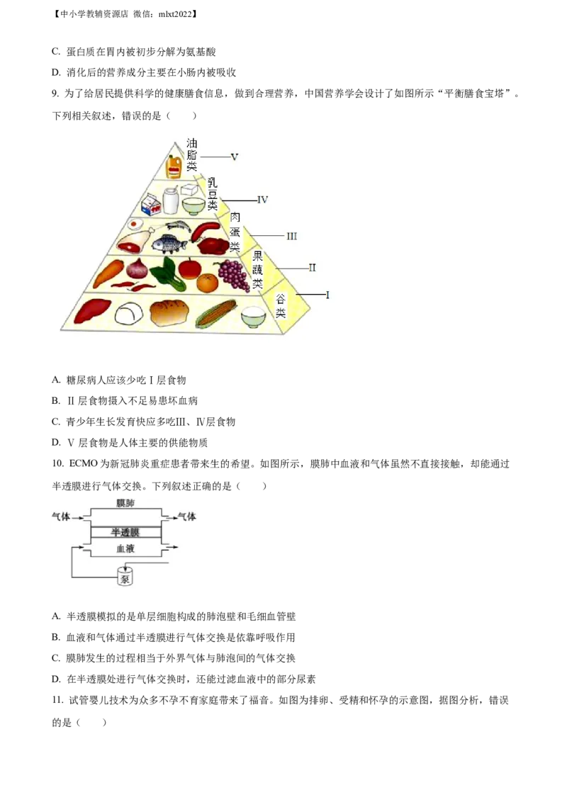 精品解析：2022年山东省东营市中考生物真题（原卷版）_中考真题_8.生物中考真题2015-2024年_2022年全国中考生物114份14