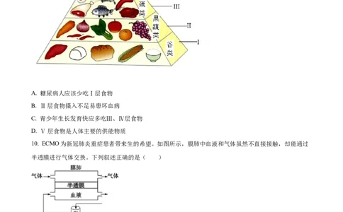 精品解析：2022年山东省东营市中考生物真题（原卷版）_中考真题_8.生物中考真题2015-2024年_2022年全国中考生物114份14