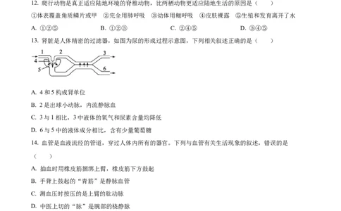 精品解析：2022年山东省东营市中考生物真题（原卷版）_中考真题_8.生物中考真题2015-2024年_2022年全国中考生物114份14