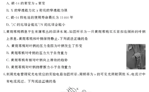 物理试卷_2025年7月_250715​山东省2025年7月济南市高二期末学习质量检测（全科）_山东省济南市2024-2025学年高二下学期7月期末学习质量检测物理
