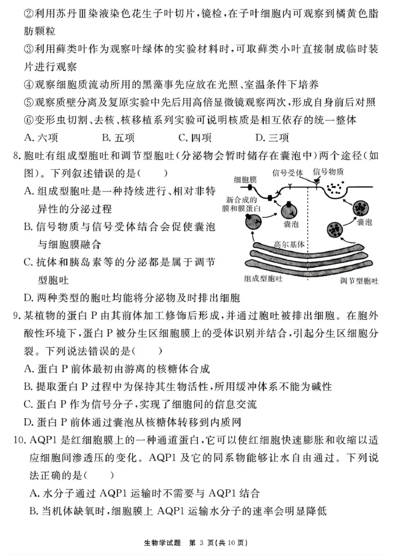 生物学试题（一六八一模）_2025年12月_2512092026届安徽合肥一六八中学高三上学期一模（全科）_2026届安徽合肥一六八中学高三上学期一模生物试题+答案