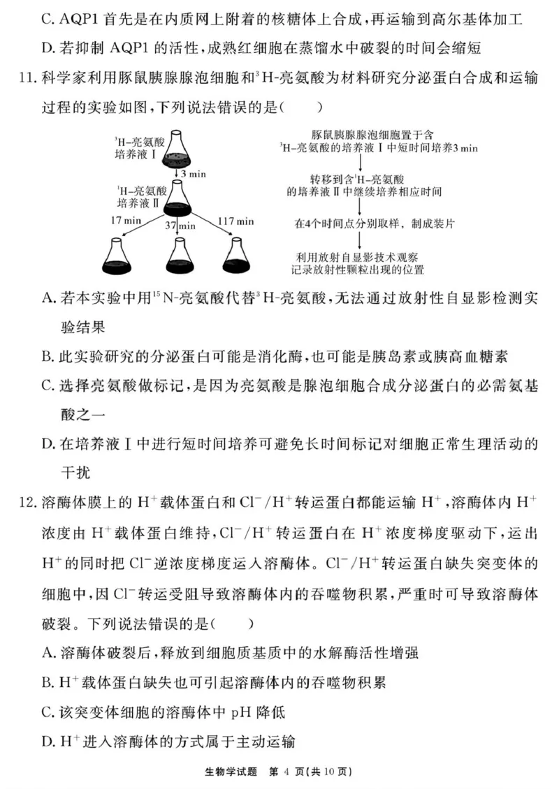 生物学试题（一六八一模）_2025年12月_2512092026届安徽合肥一六八中学高三上学期一模（全科）_2026届安徽合肥一六八中学高三上学期一模生物试题+答案