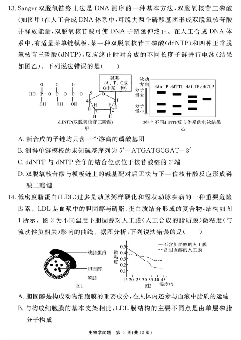 生物学试题（一六八一模）_2025年12月_2512092026届安徽合肥一六八中学高三上学期一模（全科）_2026届安徽合肥一六八中学高三上学期一模生物试题+答案