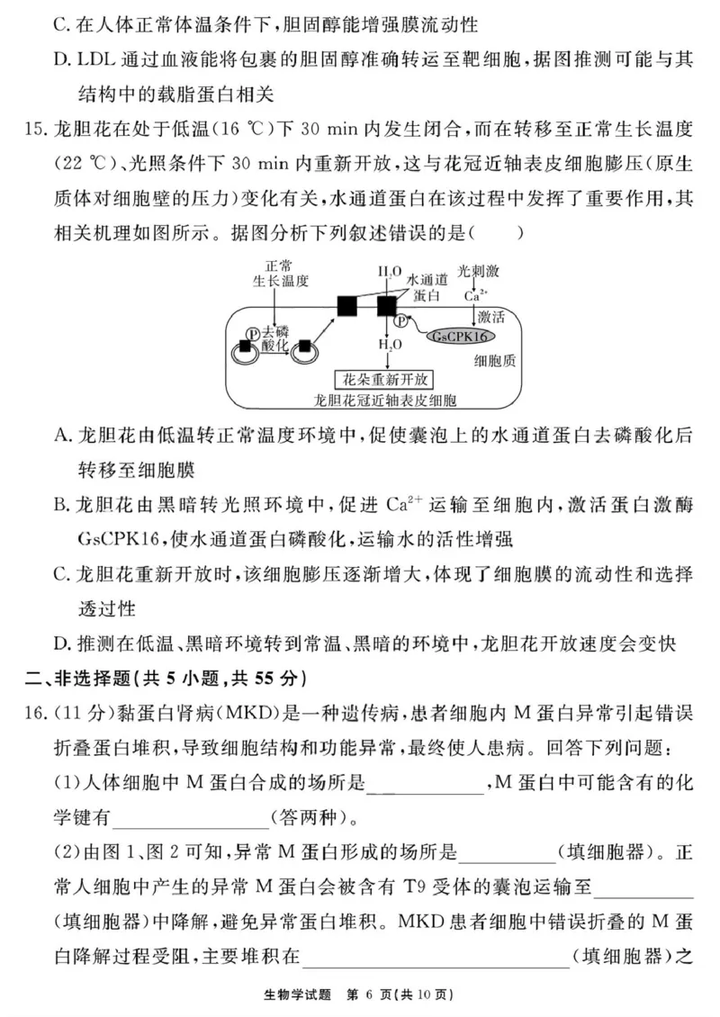 生物学试题（一六八一模）_2025年12月_2512092026届安徽合肥一六八中学高三上学期一模（全科）_2026届安徽合肥一六八中学高三上学期一模生物试题+答案