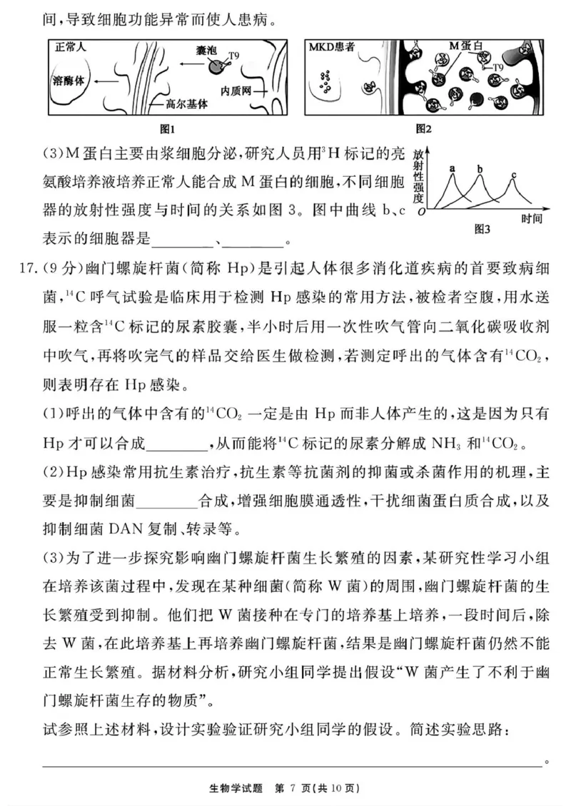 生物学试题（一六八一模）_2025年12月_2512092026届安徽合肥一六八中学高三上学期一模（全科）_2026届安徽合肥一六八中学高三上学期一模生物试题+答案