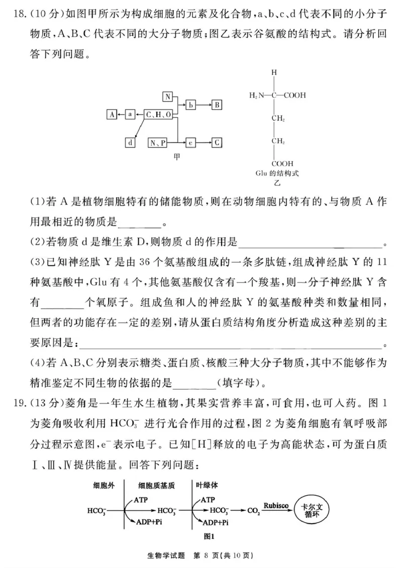 生物学试题（一六八一模）_2025年12月_2512092026届安徽合肥一六八中学高三上学期一模（全科）_2026届安徽合肥一六八中学高三上学期一模生物试题+答案