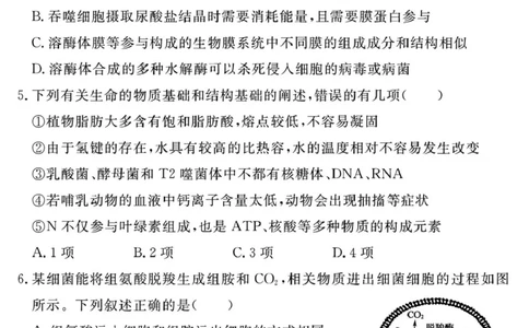 生物学试题（一六八一模）_2025年12月_2512092026届安徽合肥一六八中学高三上学期一模（全科）_2026届安徽合肥一六八中学高三上学期一模生物试题+答案