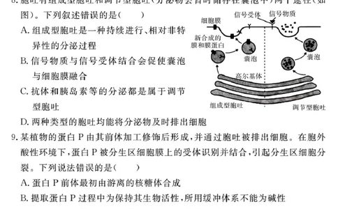生物学试题（一六八一模）_2025年12月_2512092026届安徽合肥一六八中学高三上学期一模（全科）_2026届安徽合肥一六八中学高三上学期一模生物试题+答案