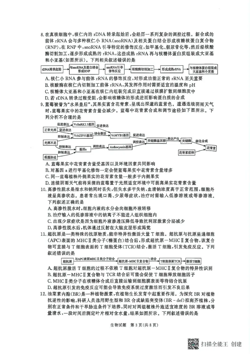 生物-河南省青桐鸣大联考2025年6月高二下学期月考_2025年6月_250619河南省青桐鸣大联考2026届高二6月联考（全科）_生物-河南省青桐鸣大联考2025年6月高二下学期月考