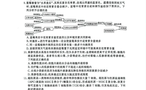 生物-河南省青桐鸣大联考2025年6月高二下学期月考_2025年6月_250619河南省青桐鸣大联考2026届高二6月联考（全科）_生物-河南省青桐鸣大联考2025年6月高二下学期月考