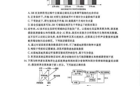 生物-河南省青桐鸣大联考2025年6月高二下学期月考_2025年6月_250619河南省青桐鸣大联考2026届高二6月联考（全科）_生物-河南省青桐鸣大联考2025年6月高二下学期月考