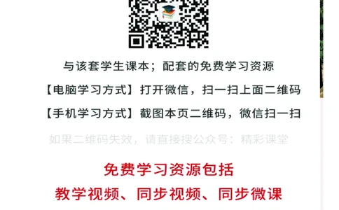 粤教版美术选修1高清教材_4-教培资料-26年最新资料-同步更新_初中高中教资_03科三专项（进去保存报考的学科即可）_02科三专项（笔记真题思维导图教学设计版本二）