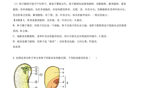 精品解析：2023年山东省临沂市中考生物真题（解析版）_中考真题_8.生物中考真题2015-2024年_2023年全国中考生物7.20_精品解析：2023年山东省临沂市中考生物真题