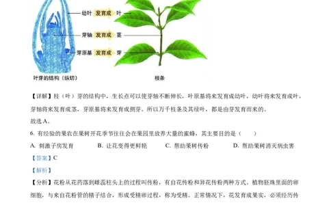 精品解析：2022年黑龙江省龙东地区中考生物真题（解析版）_中考真题_8.生物中考真题2015-2024年_2022年全国中考生物114份14