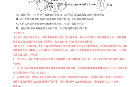 生物（贵州、安徽、甘肃适用，16+5题型）（全解全析）_学易金卷丨2024年1月&ldquo;七省联考&rdquo;考前猜想卷_生物（贵州、安徽、甘肃适用，16+5题型）
