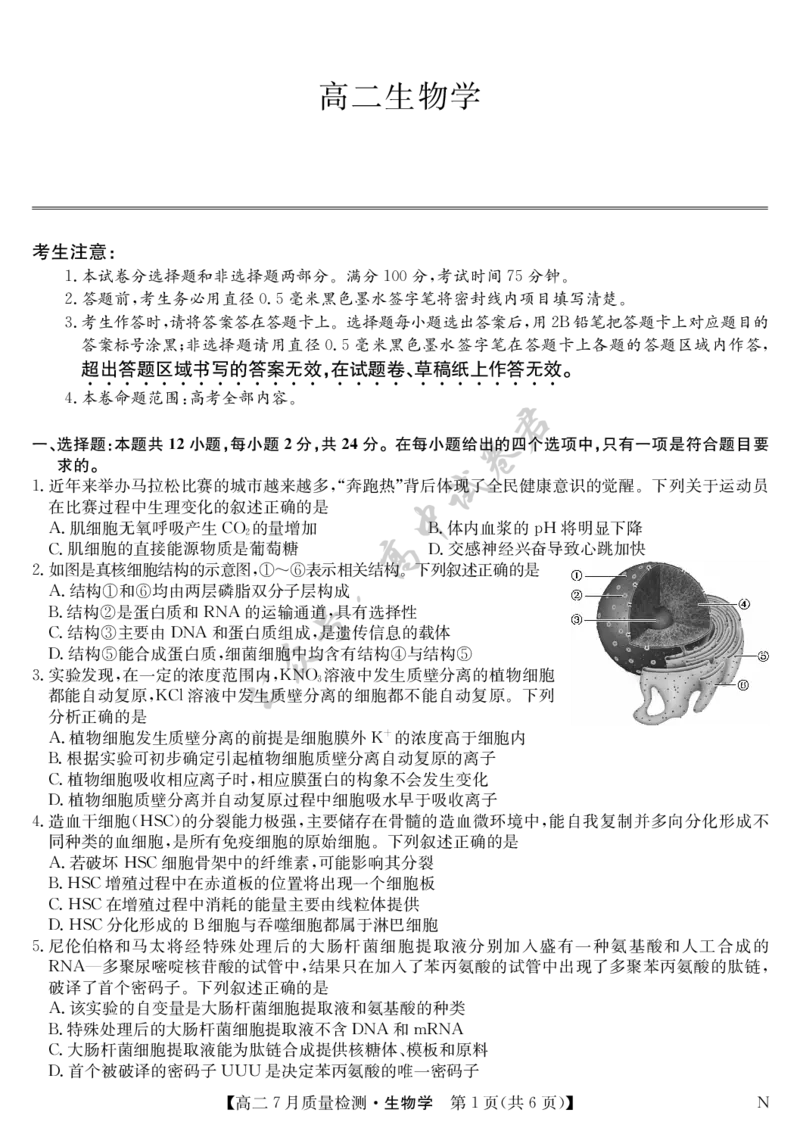 生物-7月质量检测（N）_2025年7月_250728江西省九师联盟2024-2025学年高二下学期7月质量检测（摸底考试）（7.24）（全科）
