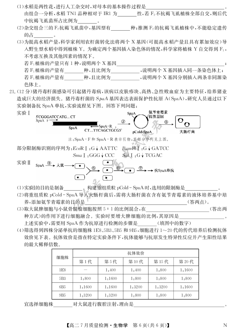 生物-7月质量检测（N）_2025年7月_250728江西省九师联盟2024-2025学年高二下学期7月质量检测（摸底考试）（7.24）（全科）