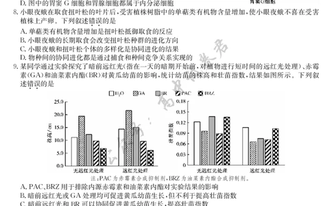 生物-7月质量检测（N）_2025年7月_250728江西省九师联盟2024-2025学年高二下学期7月质量检测（摸底考试）（7.24）（全科）