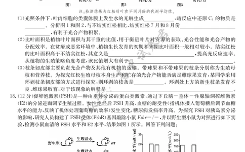 生物-7月质量检测（N）_2025年7月_250728江西省九师联盟2024-2025学年高二下学期7月质量检测（摸底考试）（7.24）（全科）