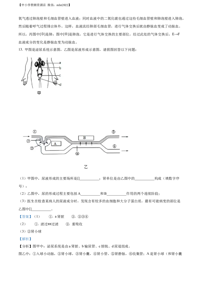 精品解析：2022年辽宁省本溪市中考生物真题（解析版）_中考真题_8.生物中考真题2015-2024年_2022年全国中考生物114份14