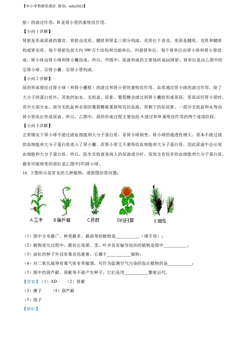 精品解析：2022年辽宁省本溪市中考生物真题（解析版）_中考真题_8.生物中考真题2015-2024年_2022年全国中考生物114份14