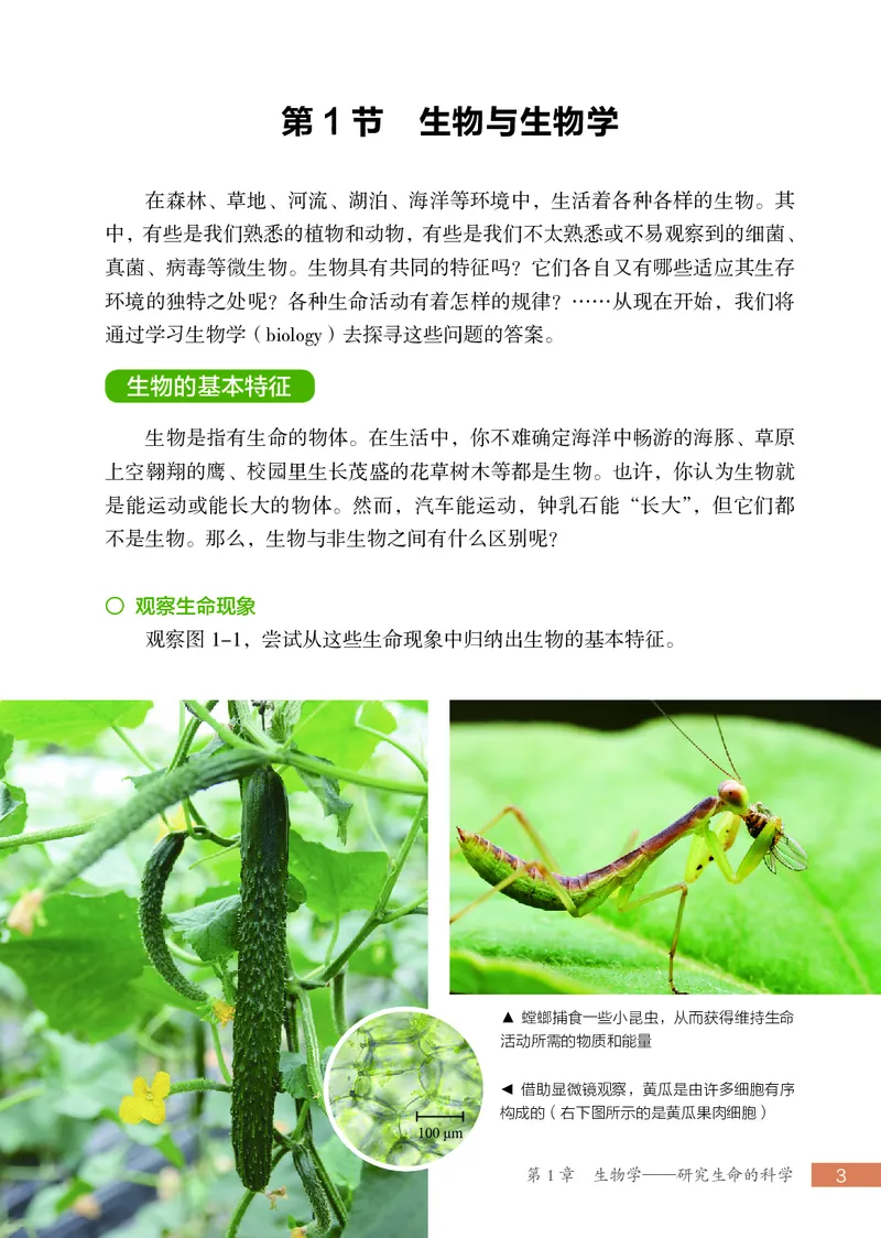 苏科版7年级生物上册高清教材_4-教培资料-26年最新资料-同步更新_初中高中教资_03科三专项（进去保存报考的学科即可）_02科三专项（笔记真题思维导图教学设计版本二）