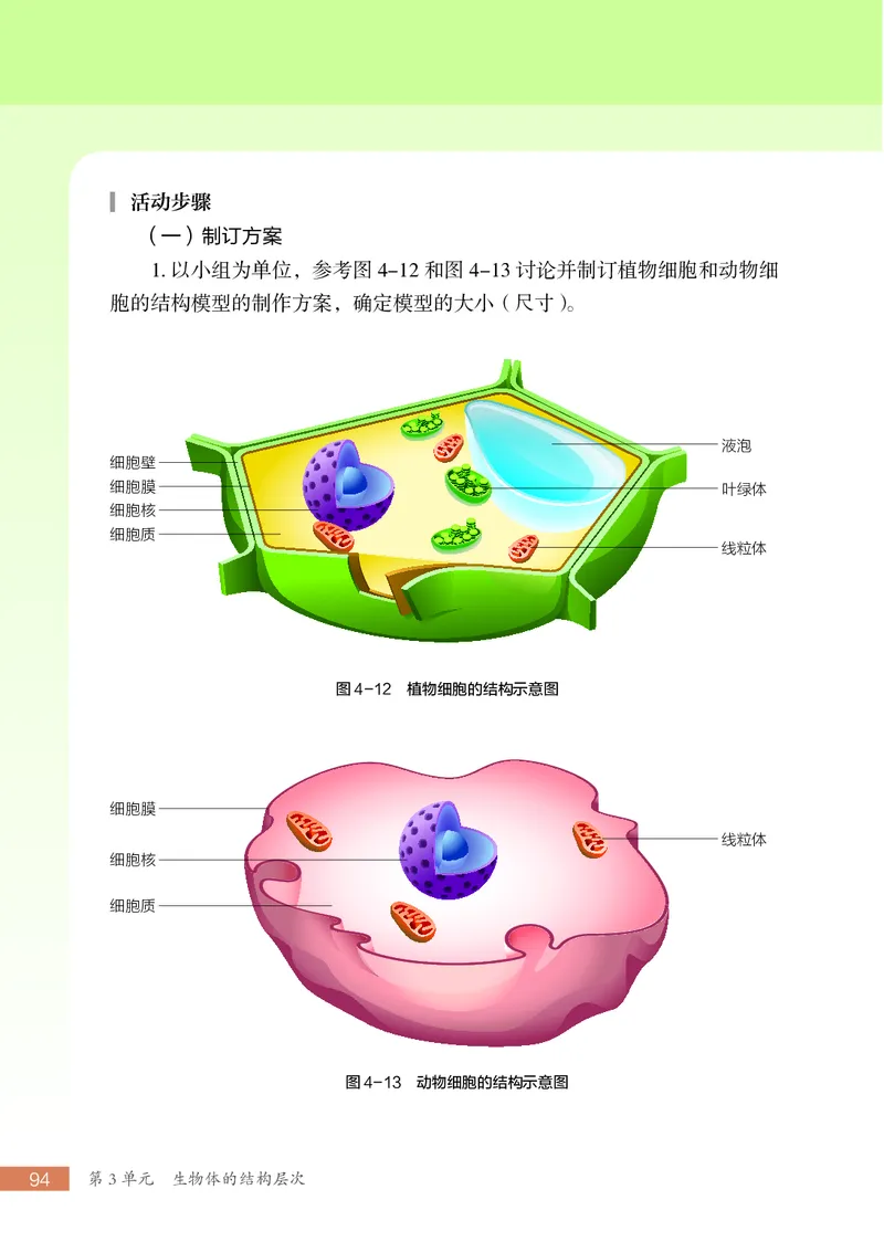 苏科版7年级生物上册高清教材_4-教培资料-26年最新资料-同步更新_初中高中教资_03科三专项（进去保存报考的学科即可）_02科三专项（笔记真题思维导图教学设计版本二）
