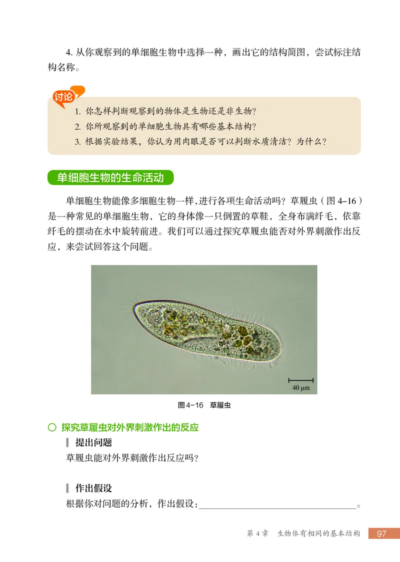 苏科版7年级生物上册高清教材_4-教培资料-26年最新资料-同步更新_初中高中教资_03科三专项（进去保存报考的学科即可）_02科三专项（笔记真题思维导图教学设计版本二）